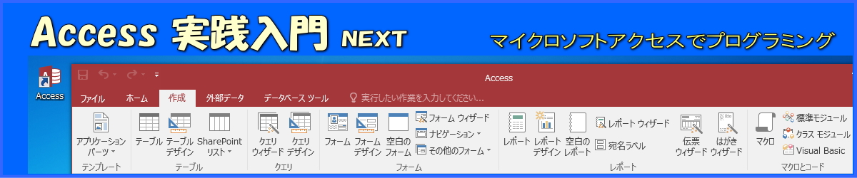 Access実践入門next